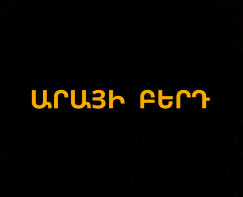 Արայի բերդ