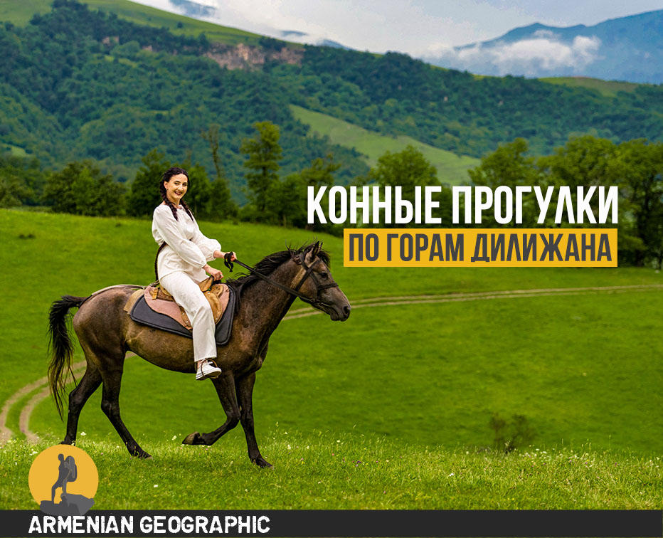Конный поход по горам Дилижана