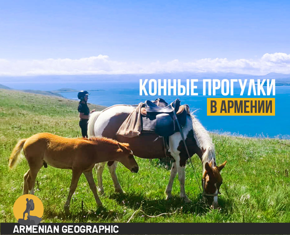 Конные прогулки в Армении