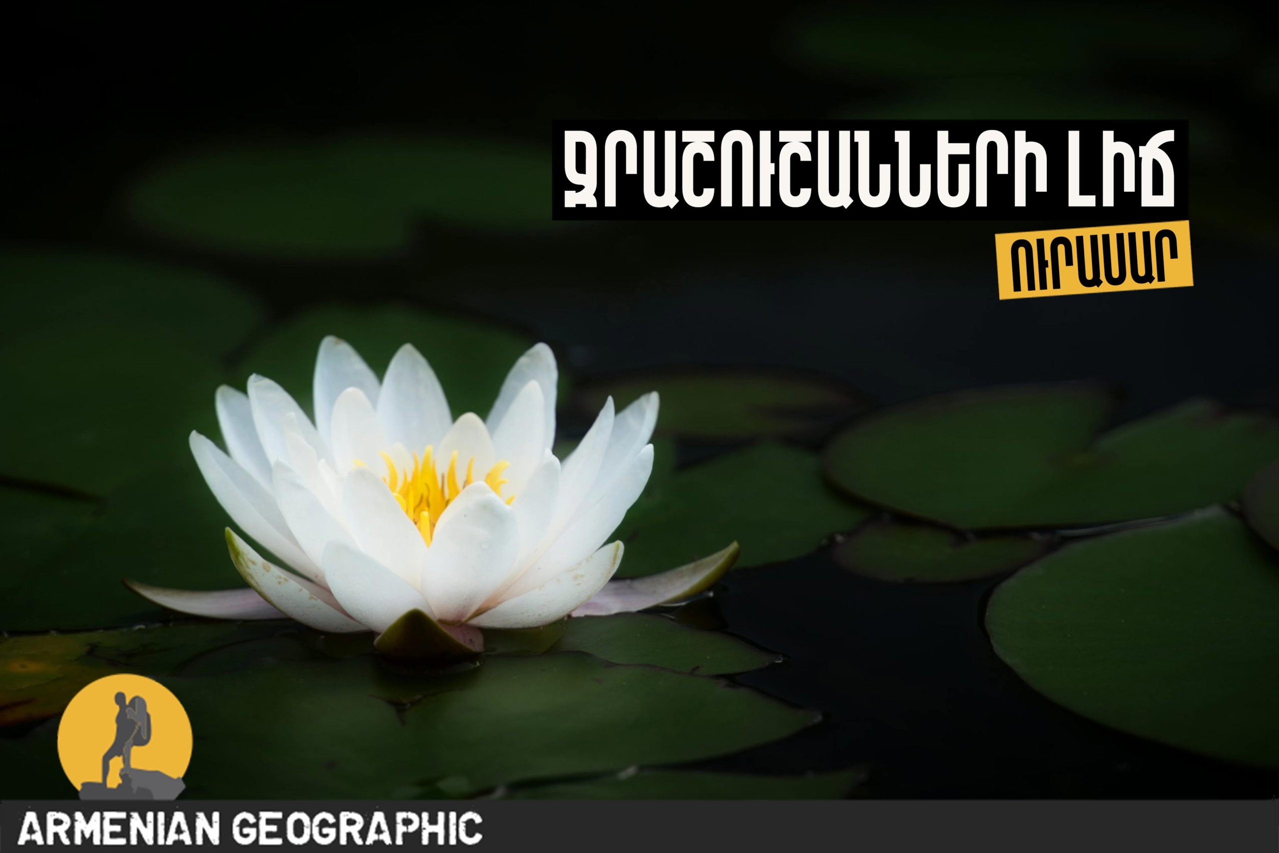 Ուրասարի կամ Ջրաշուշանների լիճ