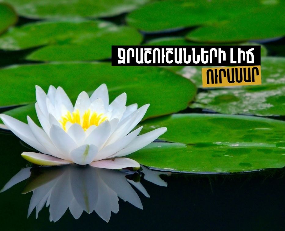 Ջրաշուշանների լիճ