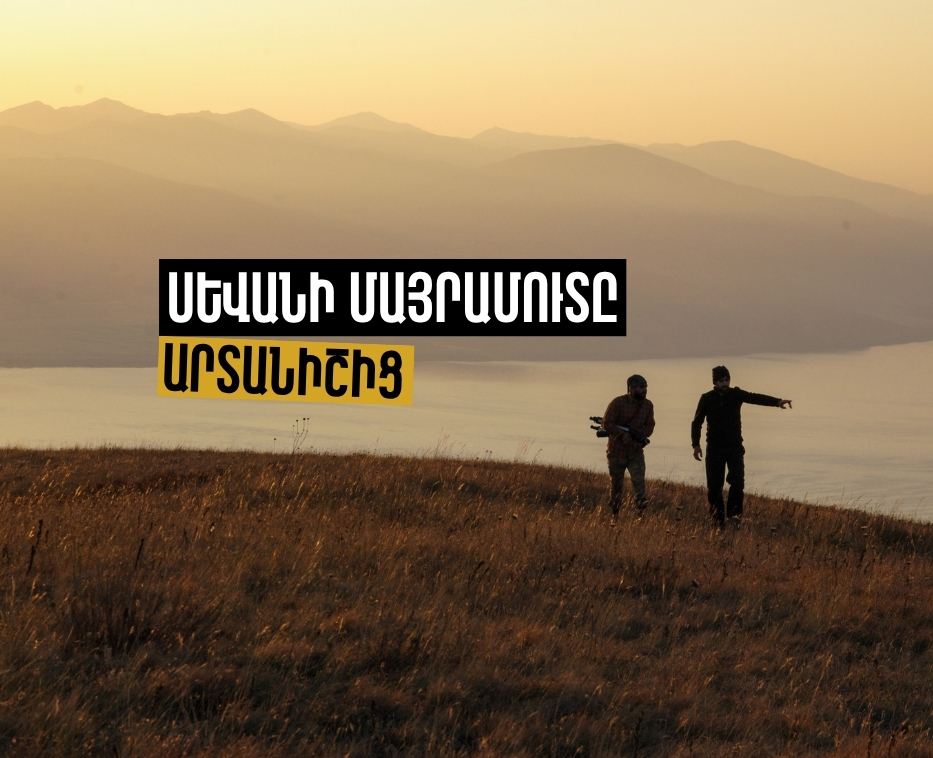 Արտանիշ